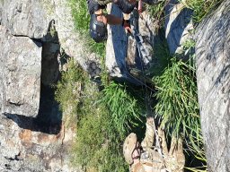 2021-06-05 e 6 FORMEX 1